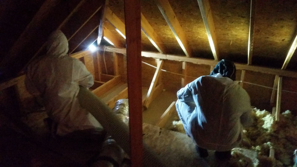 Biohazard remediation and Attic Resoration